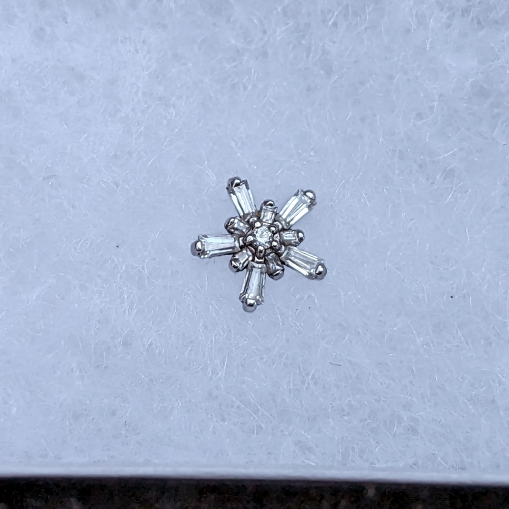 BVLA Mininova Labret